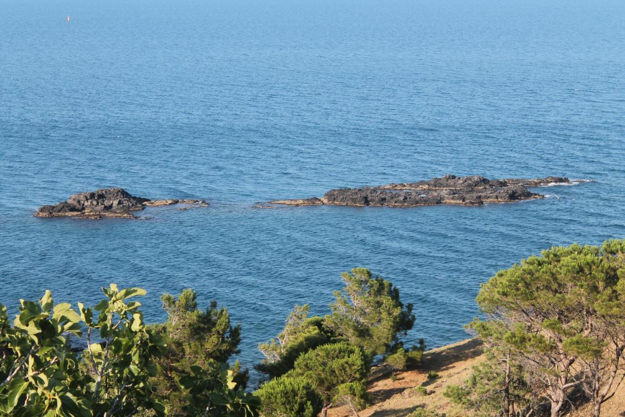 Appartement Vue Mer El Farniente Cerbère Екстериор снимка